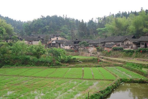 溆浦陽(yáng)雀坡古村落