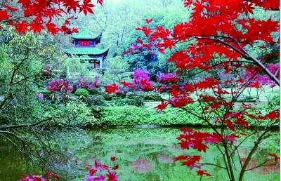 岳麓山秋景