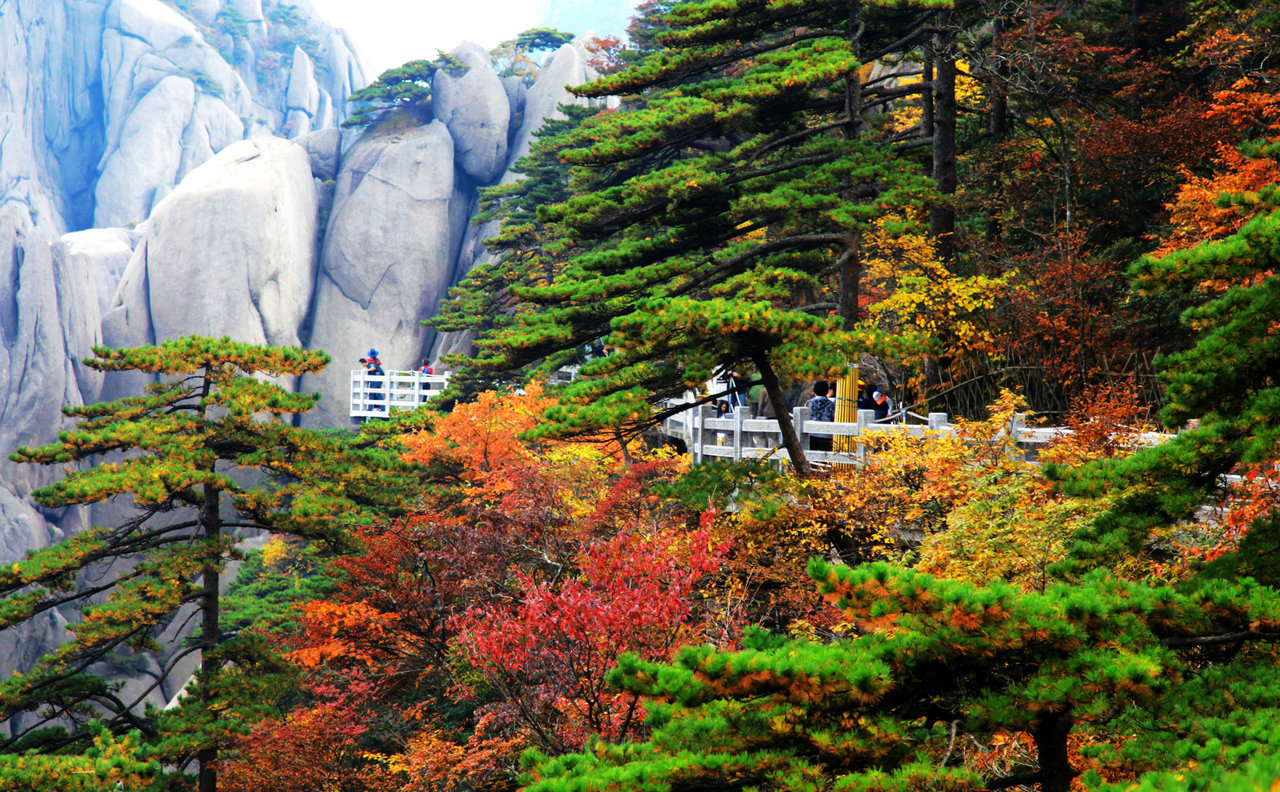 長(zhǎng)沙到黃山風(fēng)景區(qū)看日出、花山謎窟高鐵四日游
