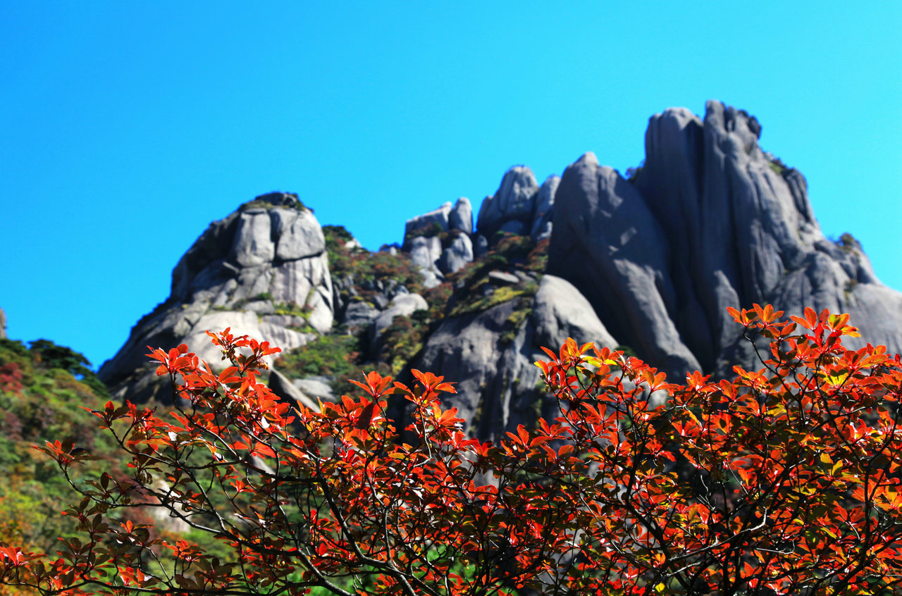 黃山什么時(shí)候去最好？到黃山旅游幾月份去最好