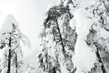 從長沙出發冬天賞雪泡溫泉旅游目的地推薦