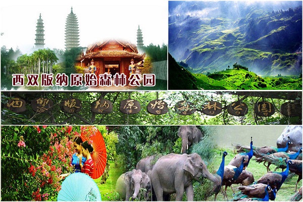 西雙版納最佳旅游季節_什么時候去西雙版納旅游最好