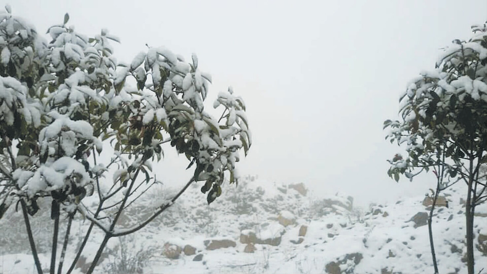 昆明大雪封山 轎子山景區暫時關閉