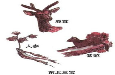 <a href=http://www.917925.com/changshadaodongbeilvyou/>東北</a>三寶