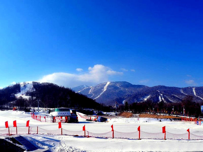 2015哈爾濱冰雪節是什么時間、地點、門票、交通