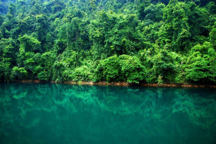 鼎湖山