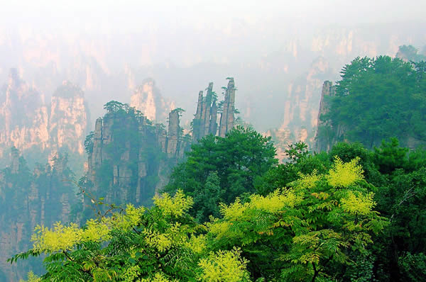 天子山景區