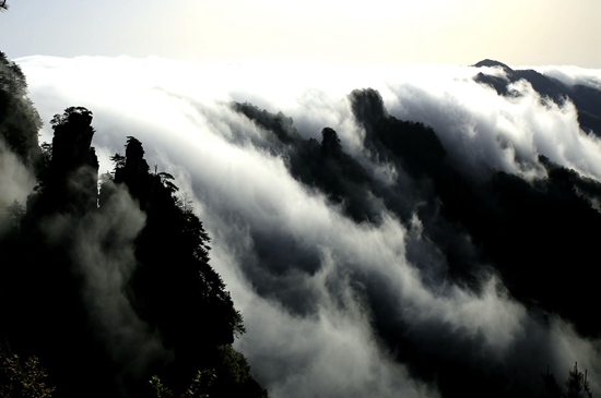 張家界武陵源核心景區 雨后出現壯觀的云瀑景觀