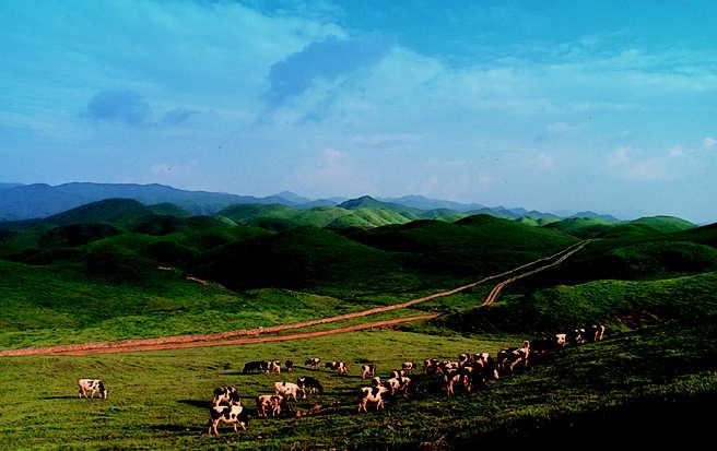 南山風(fēng)景名勝區(qū)