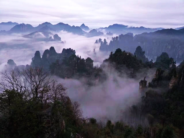 張家界天子山春日云海如水墨仙境