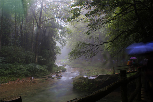 張家界核心景區武陵源(張家界國家森林公園)金鞭溪