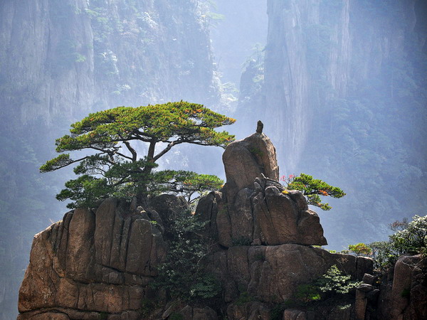 長沙到黃山看日出、千島湖(名山名水)火車五日游