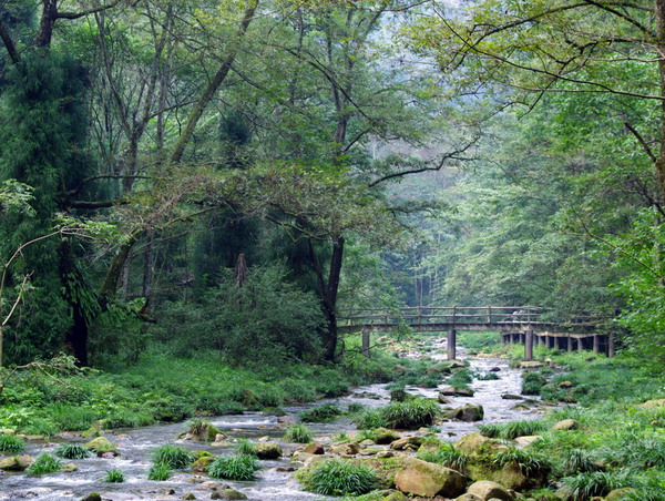 晚班長沙到張家界、天門山、鳳凰古城純玩五日游團購旅游(獨家
