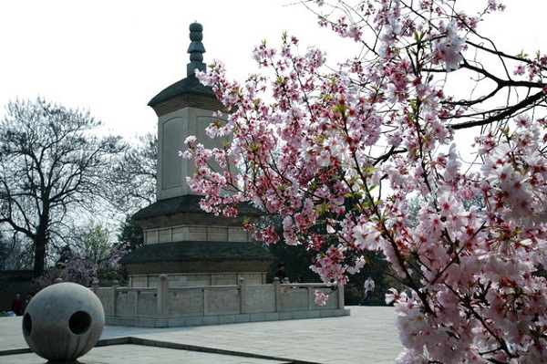 從長沙到陜西西安-兵馬俑-華清池-袁家村-青龍寺