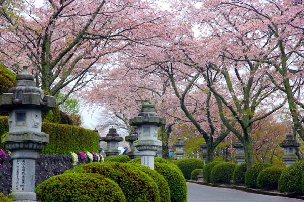 平和公園