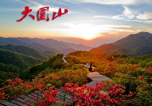 長沙到大圍山一日游,大圍山國家森林公園賞杜娟