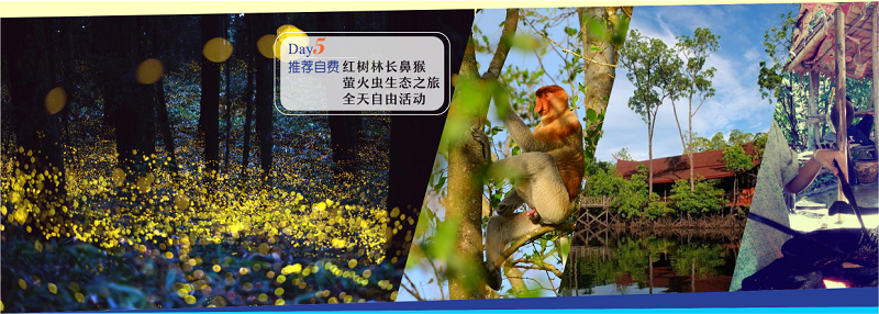 長鼻猴，紅樹林螢火蟲一日游