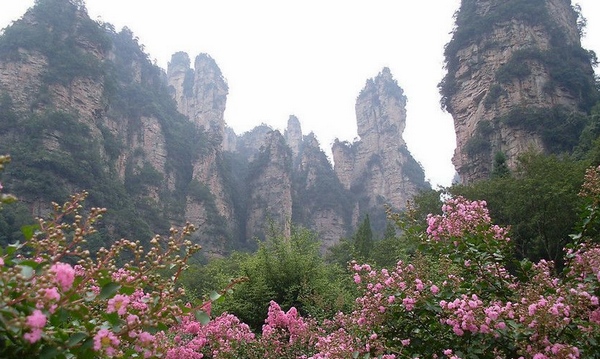 春天到張家界好玩嗎？春季張家界旅游攻略