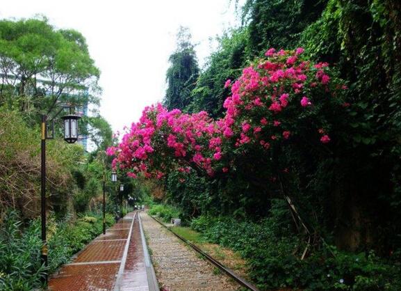 鐵路文化公園