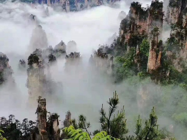 張家界天子山好不好玩嗎？張家界天子山有什么必看的景點？怎么走