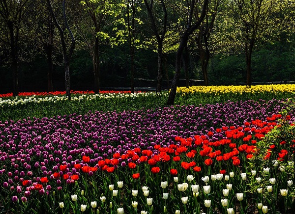 <a href=http://www.917925.com/vjingdian_4969.html>沈陽植物園</a>
