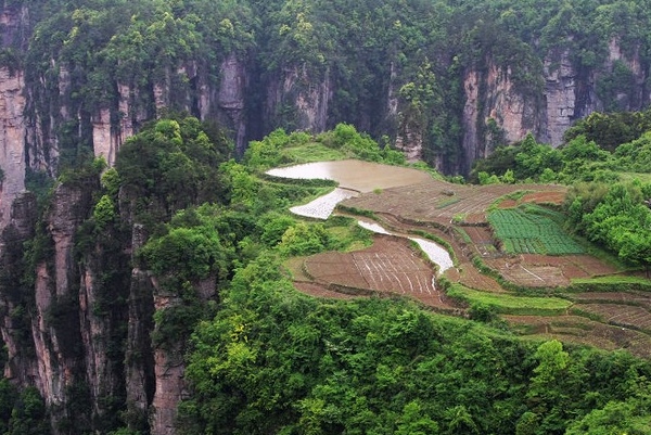 張家界春季風景