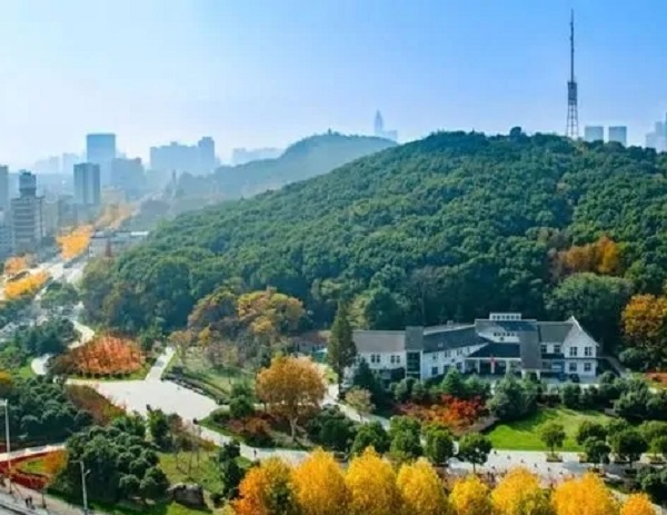 蕪湖市