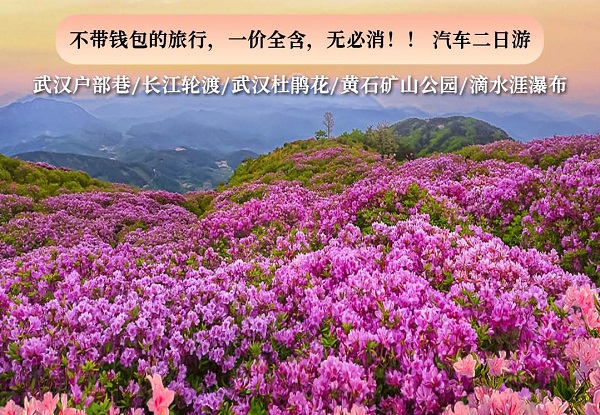 長沙到湖北武漢戶部巷、長江輪渡、武漢杜鵑花、黃石礦山公園、滴水涯瀑布汽