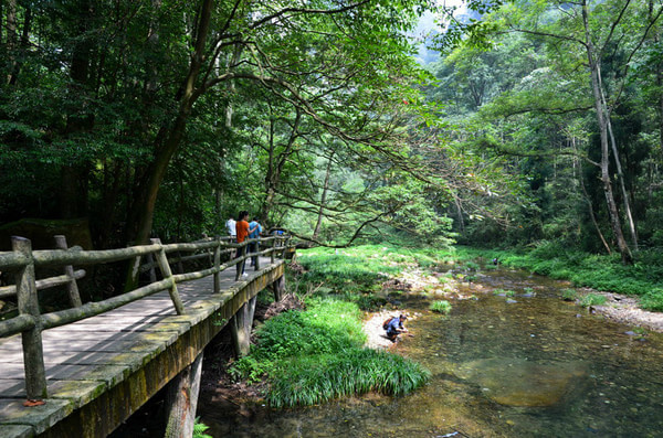 長沙到張家界旅游攻略最全景點